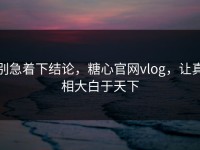 别急着下结论，糖心官网vlog，让真相大白于天下