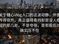 关于糖心vlog入口的这波动静，外面传得很热，真正值得看的却是没人细说的那几处，不是夸张，是那股后劲确实压不住
