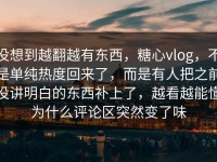 没想到越翻越有东西，糖心vlog，不是单纯热度回来了，而是有人把之前没讲明白的东西补上了，越看越能懂为什么评论区突然变了味
