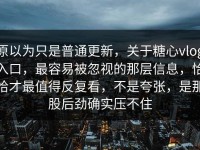 原以为只是普通更新，关于糖心vlog入口，最容易被忽视的那层信息，恰恰才最值得反复看，不是夸张，是那股后劲确实压不住