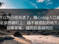 你以为已经说透了，糖心vlog入口最近突然被盯上：越不被提起的地方，越像答案，越到后面越明白