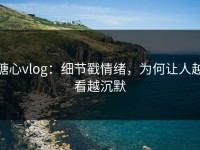 糖心vlog：细节戳情绪，为何让人越看越沉默