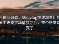 不是我敏感，糖心vlog在线观看比想象中更能挑动情绪之后，整个感觉都变了