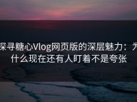探寻糖心Vlog网页版的深层魅力：为什么现在还有人盯着不是夸张