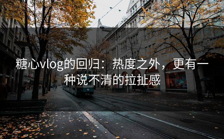 糖心vlog的回归：热度之外，更有一种说不清的拉扯感