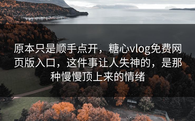原本只是顺手点开，糖心vlog免费网页版入口，这件事让人失神的，是那种慢慢顶上来的情绪