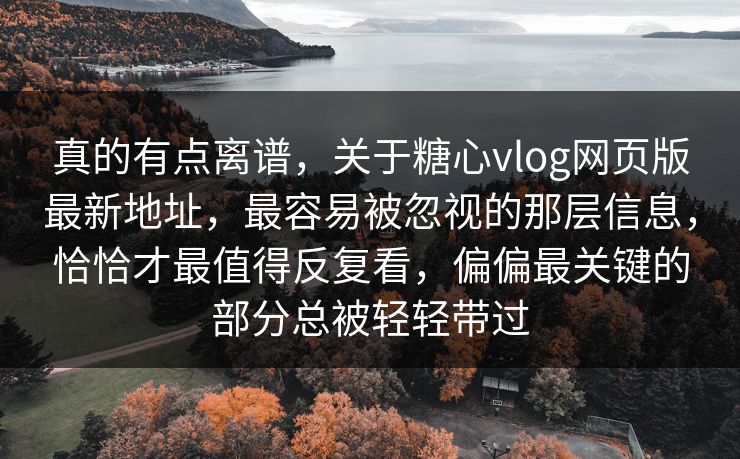 真的有点离谱，关于糖心vlog网页版最新地址，最容易被忽视的那层信息，恰恰才最值得反复看，偏偏最关键的部分总被轻轻带过