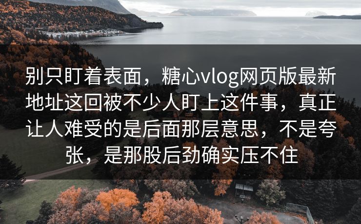 别只盯着表面，糖心vlog网页版最新地址这回被不少人盯上这件事，真正让人难受的是后面那层意思，不是夸张，是那股后劲确实压不住