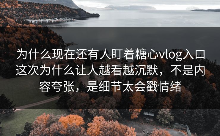 为什么现在还有人盯着糖心vlog入口这次为什么让人越看越沉默，不是内容夸张，是细节太会戳情绪
