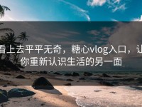 看上去平平无奇，糖心vlog入口，让你重新认识生活的另一面