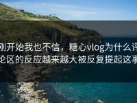 刚开始我也不信，糖心vlog为什么评论区的反应越来越大被反复提起这事