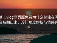 糖心vlog网页版免费为什么总能在深夜被翻出来，冷门角度解析与情感共鸣