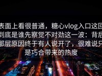 表面上看很普通，糖心vlog入口这回到底是谁先察觉不对劲这一波：背后那层原因终于有人说开了，很难说只是巧合带来的热度