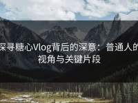 探寻糖心Vlog背后的深意：普通人的视角与关键片段