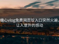 糖心vlog免费网页版入口突然火遍，让人意外的感动