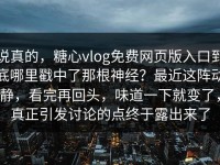 说真的，糖心vlog免费网页版入口到底哪里戳中了那根神经？最近这阵动静，看完再回头，味道一下就变了，真正引发讨论的点终于露出来了