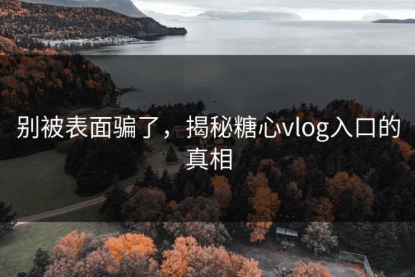 别被表面骗了，揭秘糖心vlog入口的真相