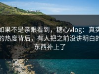 如果不是亲眼看到，糖心vlog：真实的热度背后，有人把之前没讲明白的东西补上了
