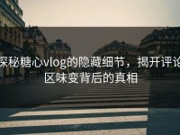 探秘糖心vlog的隐藏细节，揭开评论区味变背后的真相