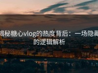 揭秘糖心vlog的热度背后：一场隐藏的逻辑解析