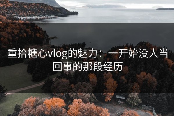 重拾糖心vlog的魅力：一开始没人当回事的那段经历