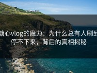 糖心vlog的魔力：为什么总有人刷到停不下来，背后的真相揭秘