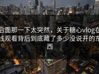后面那一下太突然，关于糖心vlog在线观看背后到底藏了多少没说开的东西
