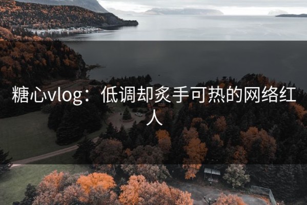 糖心vlog：低调却炙手可热的网络红人