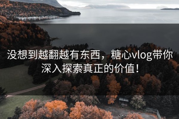 没想到越翻越有东西，糖心vlog带你深入探索真正的价值！