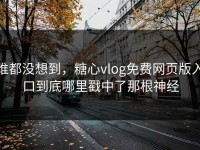谁都没想到，糖心vlog免费网页版入口到底哪里戳中了那根神经