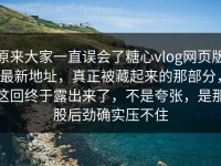 原来大家一直误会了糖心vlog网页版最新地址，真正被藏起来的那部分，这回终于露出来了，不是夸张，是那股后劲确实压不住