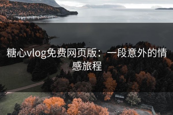 糖心vlog免费网页版：一段意外的情感旅程