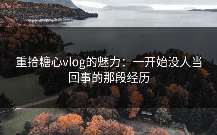重拾糖心vlog的魅力:一开始没人当回事的那段经历 重拾糖心vlog的魅力:一开始没人当回事的那段经历