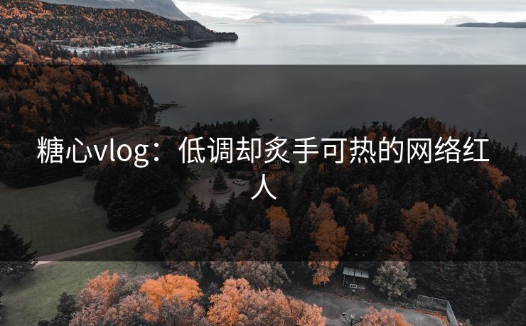 糖心vlog：低调却炙手可热的网络红人