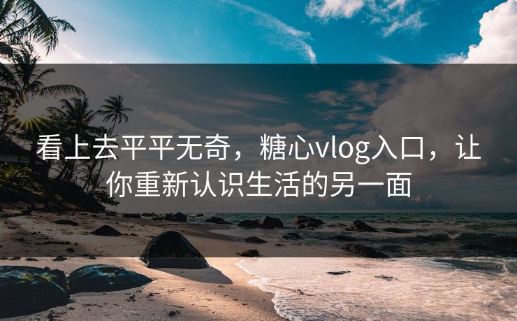 看上去平平无奇,糖心vlog入口,让你重新认识生活的另一面 看上去平平无奇,糖心vlog入口,让你重新认识生活的另一面