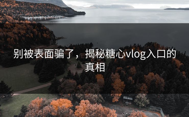 别被表面骗了，揭秘糖心vlog入口的真相