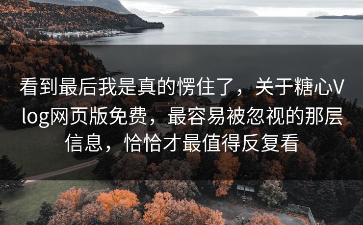 看到最后我是真的愣住了，关于糖心Vlog网页版免费，最容易被忽视的那层信息，恰恰才最值得反复看